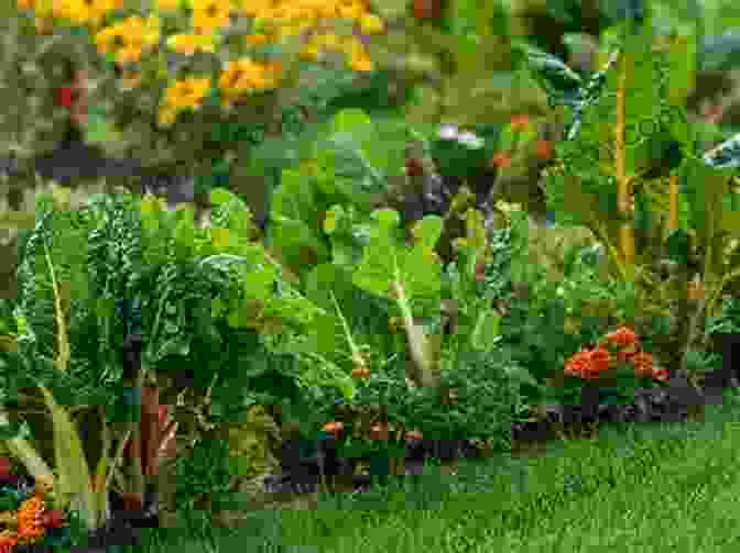 A Beautiful, Healthy Vegetable Garden With Lush Green Plants BASIC SOIL SCIENCE For SUCCESSFUL VEGETABLE GARDENING: 7 Simple Steps To Ensure Your Traditional Raised Bed Container Or No Till Garden Isn T A Weed Filled Failure