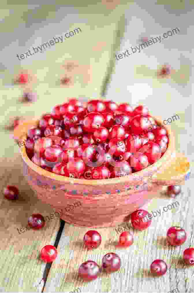 A Bowl Of Fresh Cranberries Time For Cranberries Lisl H Detlefsen