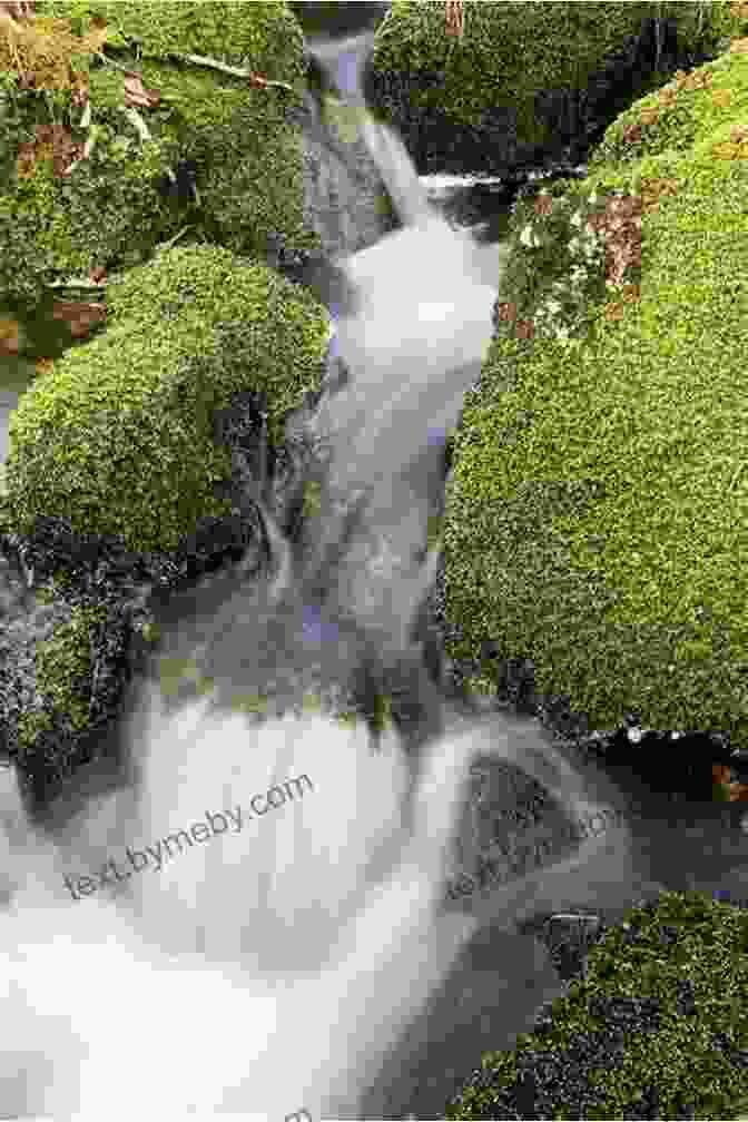 A Cascading Waterfall Surrounded By Lush Vegetation And Moss Covered Rocks Country Jumper In Iceland Lori Mortensen