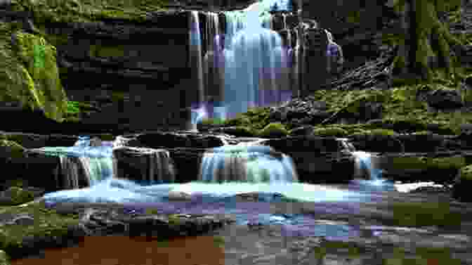 A Cascading Waterfall Surrounded By Lush Vegetation And Moss Covered Rocks Country Jumper In Iceland Lori Mortensen