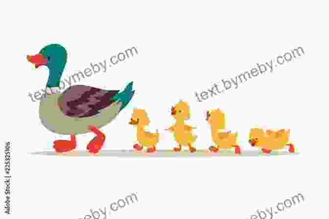 A Friendly And Adorable Mother Duck Illustration Holding A Book Mother Duck Hears A Sound (Easy Peasy Reading Flash Card 1)