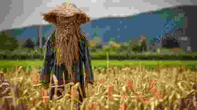 A Group Of Scarecrows Standing In A Field The Day The Scarecrows Came To Town