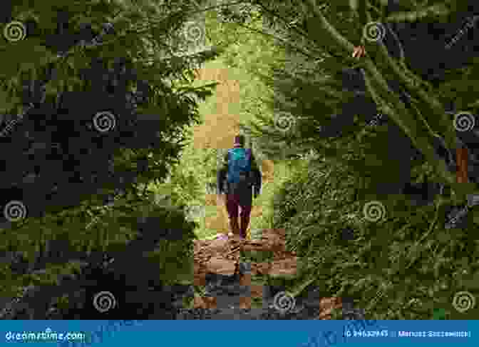 A Lone Hiker With A Backpack, Trekking Through The Lush Greenery Of The Appalachian Trail. Hiking Through: One Man S Journey To Peace And Freedom On The Appalachian Trail