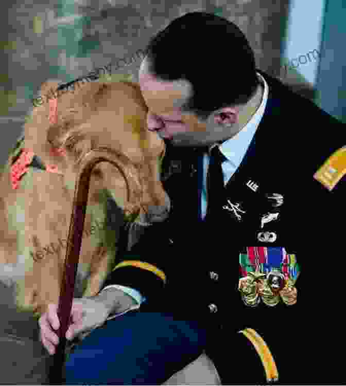 A Wounded Warrior Sitting With A Golden Retriever Until Tuesday: A Wounded Warrior And The Golden Retriever Who Saved Him