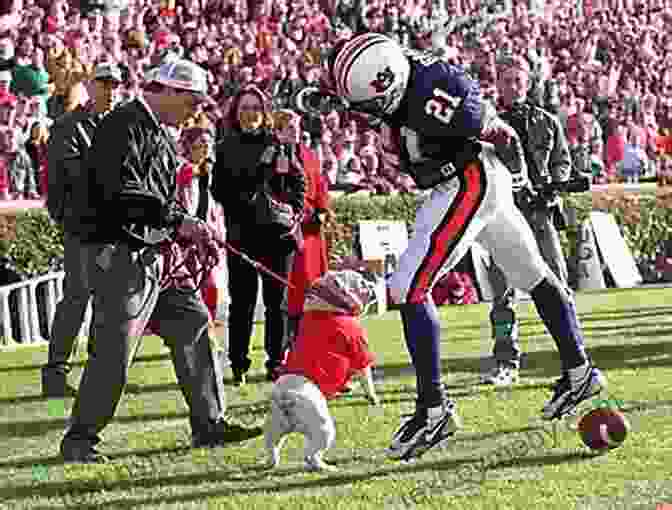 Action Shots From Memorable Bulldog Football Games Game Of My Life Georgia Bulldogs: Memorable Stories Of Bulldog Football