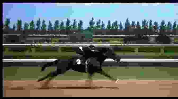 Alec And The Black Stallion Racing On A Track The Black Stallion Walter Farley