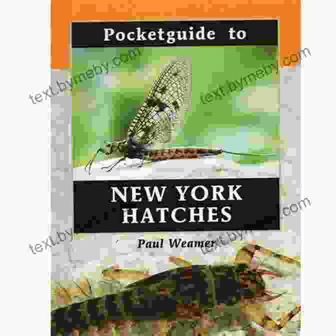 Cover Of The Pocket Guide To New York Hatches Book Pocketguide To New York Hatches