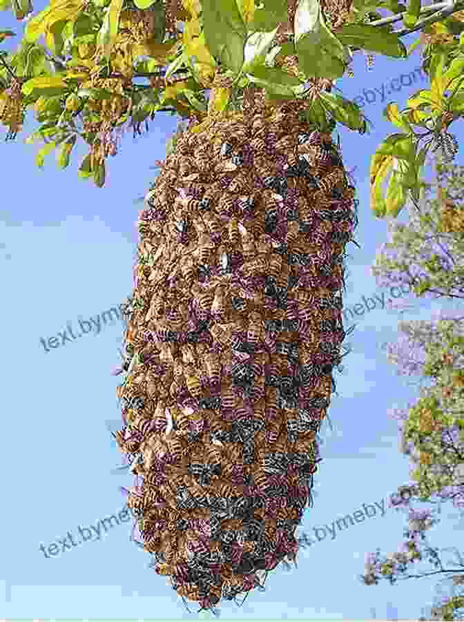 Kaia And A Swarm Of Bees Against A Lush Green Background Kaia And The Bees Maribeth Boelts