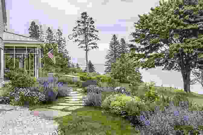 Lush Maine Garden Landscape A Maine Artist S Garden Journal