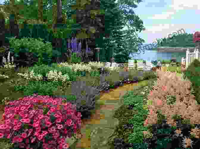 Maine Garden Artist Inspiration A Maine Artist S Garden Journal