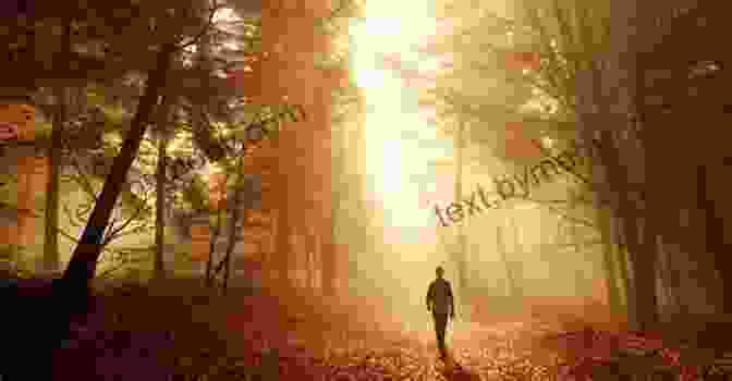 Man Walking A Path Of Redemption One Perfect Lie Lisa Scottoline