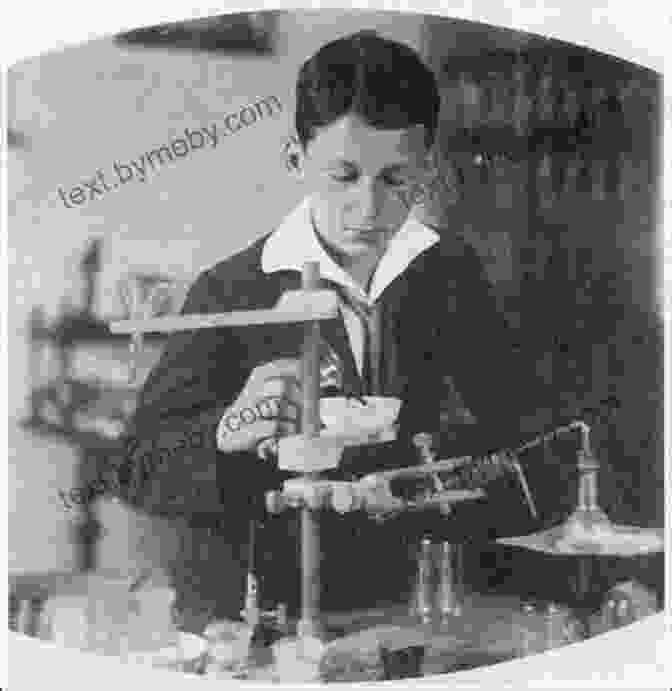 Nikola Tesla As A Young Boy Wizard:: The Life And Times Of Nikola Tesla