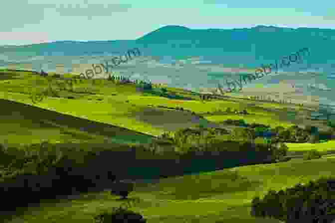 Panoramic View Of Rolling Yellow Fields In Tuscany, Italy Flying Through Yellow Leslie Helm