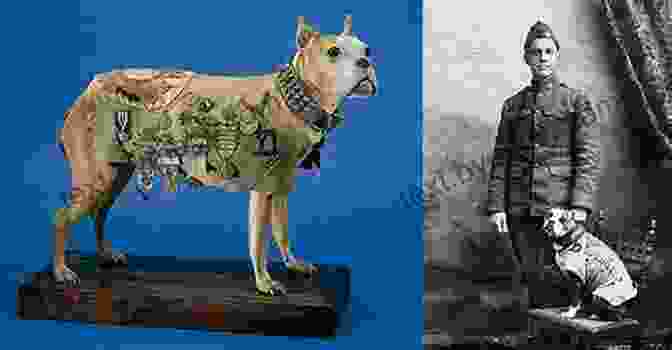 Sergeant Stubby, The Courageous War Dog Who Earned The Purple Heart Faithful Elephants: A True Story Of Animals People And War