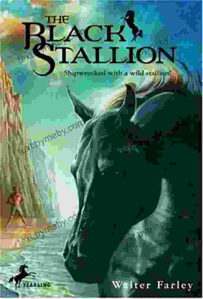 The Black Stallion Book Cover With A Black Horse On A Stormy Beach The Black Stallion Walter Farley