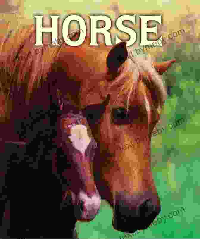 The Horses Dream Book Cover The Horses Return: The Horses Know 3 (The Horses Know Trilogy)