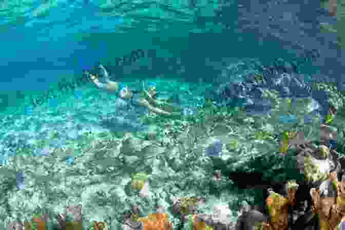 Tourists Snorkeling In Pristine Waters Near Ambergris Caye Management Of Eco Tourism And Its Perception: A Case Study Of Belize