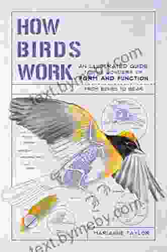 How Birds Work: An Illustrated Guide To The Wonders Of Form And Function From Bones To Beak (How Nature Works)