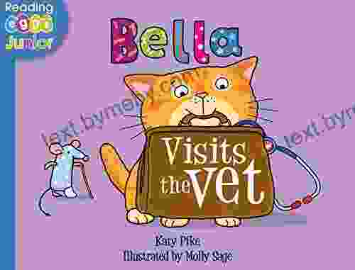 Bella Visits The Vet: A Bella The Cat (US Version)