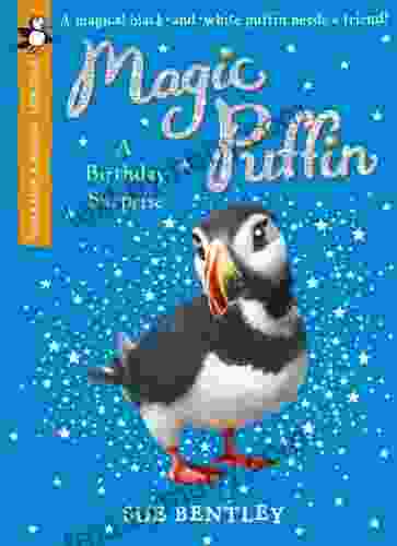 Magic Puffin: A Birthday Surprise (Pocket Money Puffin) (Pocket Money Puffins)