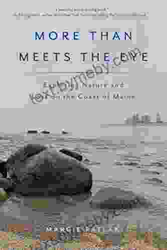 More Than Meets the Eye: Exploring Nature and Loss on the Coast of Maine