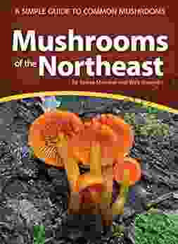 Mushrooms Of The Northeast: A Simple Guide To Common Mushrooms (Mushroom Guides)