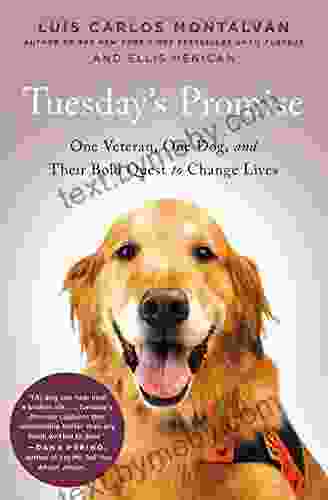 Tuesday S Promise: One Veteran One Dog And Their Bold Quest To Change Lives