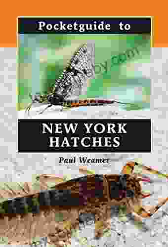 Pocketguide to New York Hatches