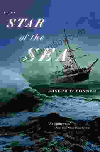 Star of the Sea: A Novel