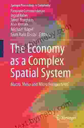 The Economy As A Complex Spatial System: Macro Meso And Micro Perspectives (Springer Proceedings In Complexity)