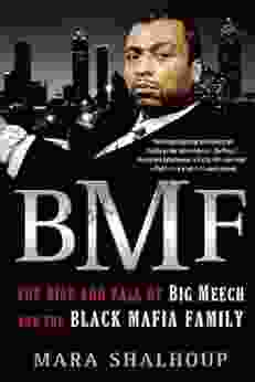 BMF: The Rise And Fall Of Big Meech And The Black Mafia Family