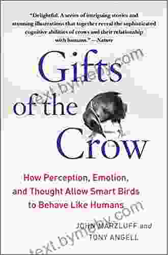 Gifts Of The Crow: How Perception Emotion And Thought Allow Smart Birds To Behave Like Humans