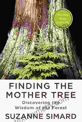 Finding The Mother Tree: Discovering The Wisdom Of The Forest